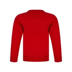 Kids Sequin Reindeer Penguin Christmas Jumper -Halloween Costumes Store 4A190261F 2.opt