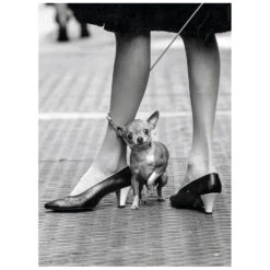 Clementoni Life Magazine Cover Photo Jigsaw Puzzle Black White 1000 Pieces -Halloween Costumes Store GRA39634 6347 2 opt