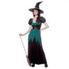 Womens Emerald Witch Costume Sequin Green Black Dress Hat Belt 1 Womens Emerald Witch Costume Sequin Green Black Dress Hat Belt -Halloween Costumes Store HF 5149 1a opt