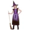 Girls Deluxe Enchanting Witch Costume Black Purple Dress Hat -Halloween Costumes Store HG 6067 1 opt