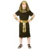Boys Egyptian Pharaoh King Gold Black Halloween Costume -Halloween Costumes Store WKDEB 4115 1600 1 70229.1497055794.1100.1100