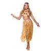 Womens Hawaiian Party Girl 5 Piece Set Halloween Costume -Halloween Costumes Store WKDEF 2146 1600 1 95304.1517219799.1100.1100
