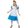 Womens Classic Storybook Alice Fancy Dress Halloween Costume -Halloween Costumes Store WKDEF 2164 1600 1 80307.1517219800.1100.1100