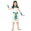 Girls Cleopatra Egyptian Queen Fancy Dress Halloween Costume -Halloween Costumes Store WKDEG 3634 1600 1 65654.1496771222.1100.1100