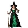 Girls Deluxe Emerald Witch Scary Halloween Fancy Dress