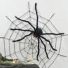 Giant Spider With Light Up Eyes Halloween Party Decoration 110cm 1 Giant Spider With Light Up Eyes Halloween Party Decoration 110cm -Halloween Costumes Store XS7426 LS 1 opt