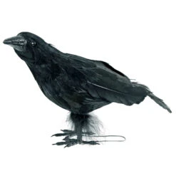 Black Crow Halloween Decoration Bird Realistic Feathers Raven 25cm -Halloween Costumes Store XS7435 2 opt