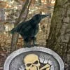 Black Crow Halloween Decoration Bird Realistic Feathers Raven 25cm -Halloween Costumes Store XS7435 LS 2 opt