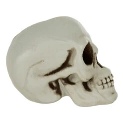 Pack Of 6 Skulls 10cm Plastic Set Halloween Party Decoration 9 Pack Of 6 Skulls 10cm Plastic Set Halloween Party Decoration -Halloween Costumes Store XS7464 3 opt
