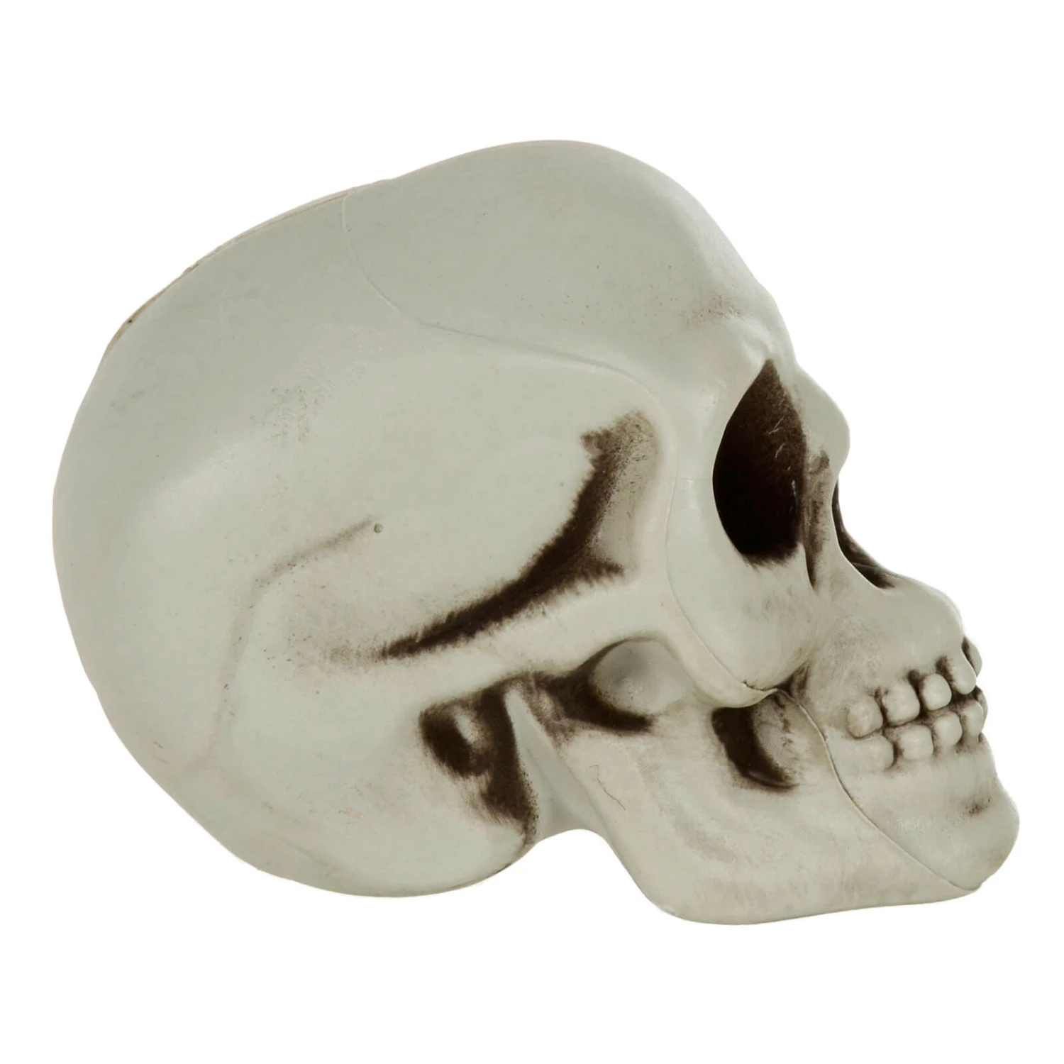 Pack Of 6 Skulls 10cm Plastic Set Halloween Party Decoration 6 Pack Of 6 Skulls 10cm Plastic Set Halloween Party Decoration - Image 4