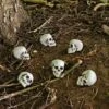 Pack Of 6 Skulls 10cm Plastic Set Halloween Party Decoration -Halloween Costumes Store XS7464 LS 1 opt