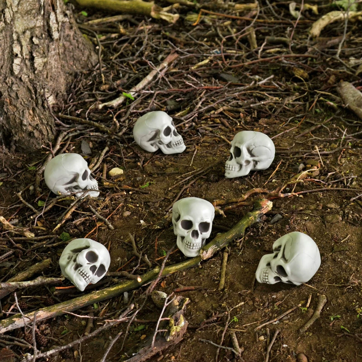 Pack Of 6 Skulls 10cm Plastic Set Halloween Party Decoration 3 Pack Of 6 Skulls 10cm Plastic Set Halloween Party Decoration